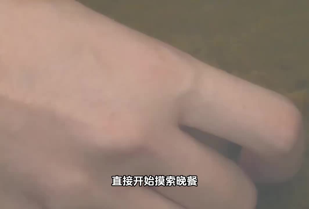 湖边露营 - 湖里捉蜗牛 - 收割玉米