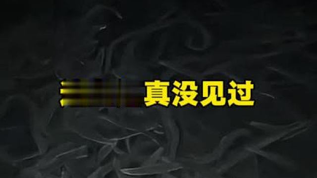 这鱼还真没见过