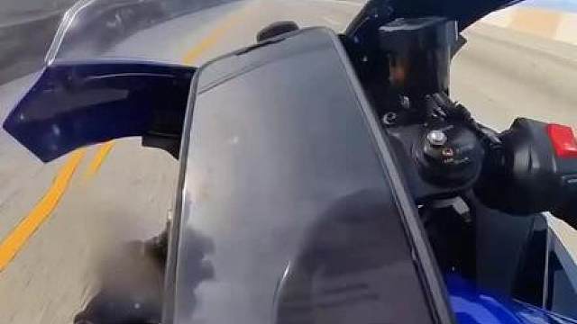 哦里谢……这该死的死亡摇摆