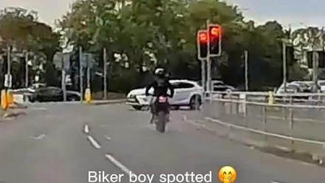 简直就是天生一对！