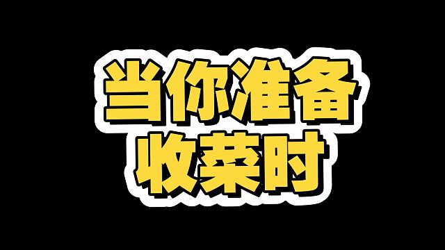 当你准备用奥拉夫收菜时…