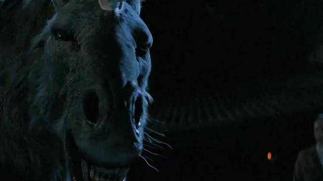 我原以为独角兽很温柔，看了太吓人啦