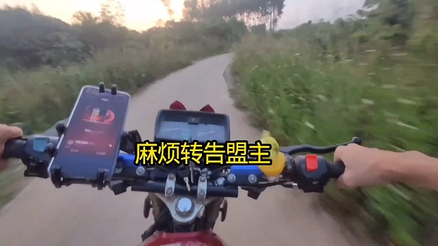 无尽的拉格朗日