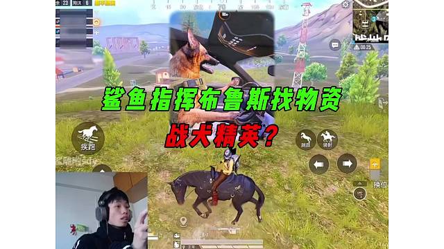 《新版本战犬有多牛？鲨鱼利用战犬找物资》