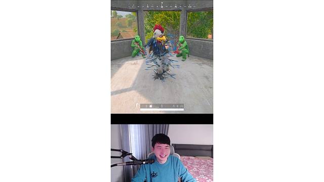 被扎成刺猬的大公鸡