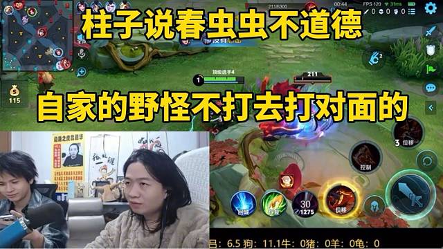 柱子说春虫虫不道德，自家的野怪不打去打对面的！