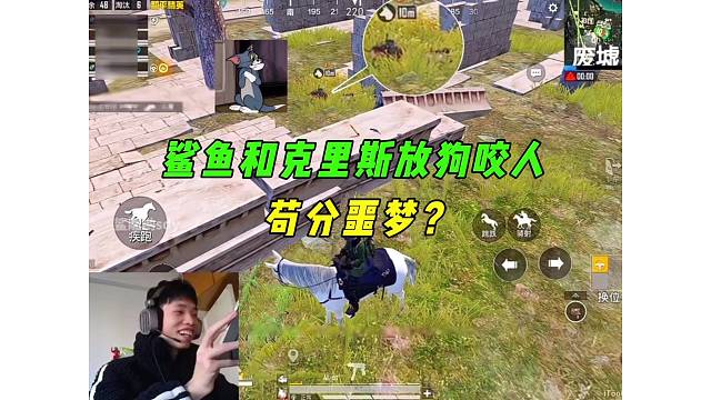 《新版本战犬是苟分仔的噩梦？鲨鱼和克里斯放狗咬人！》