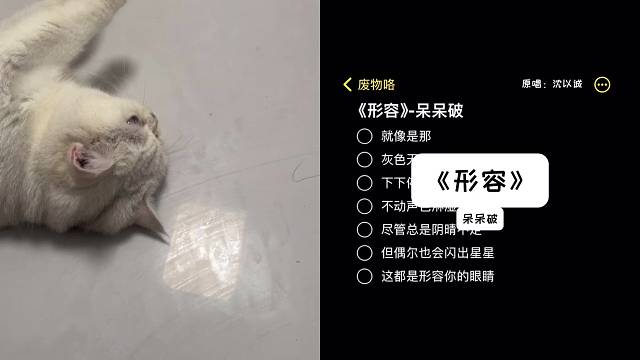 这个标题硬吧。