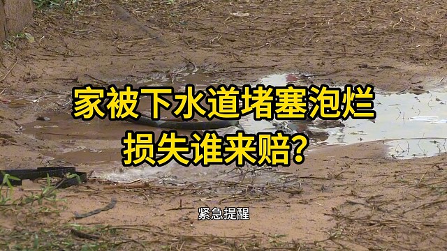 重庆律师：家被下水道堵塞泡烂，损失谁来赔？