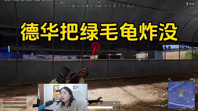 德华看绿毛龟被打倒还丢个炸弹送走绿毛龟！