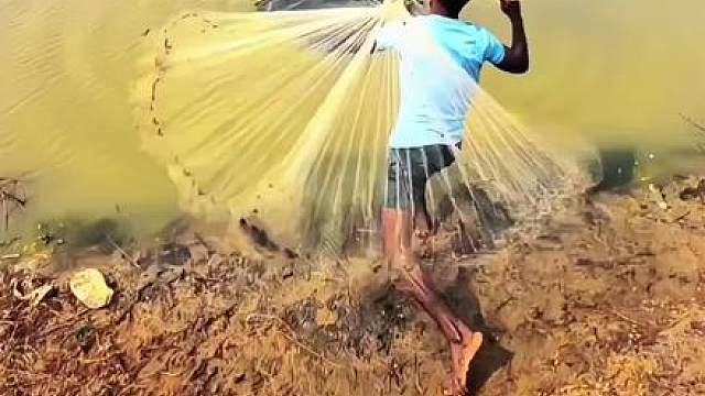 意外捕获到了好几条两三斤重的红鲳鱼