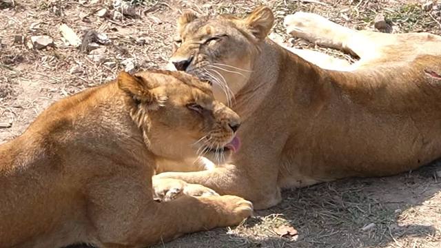 我们是天下第一好