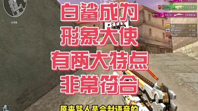 白鲨成为形象大使有两大特点非常符合！