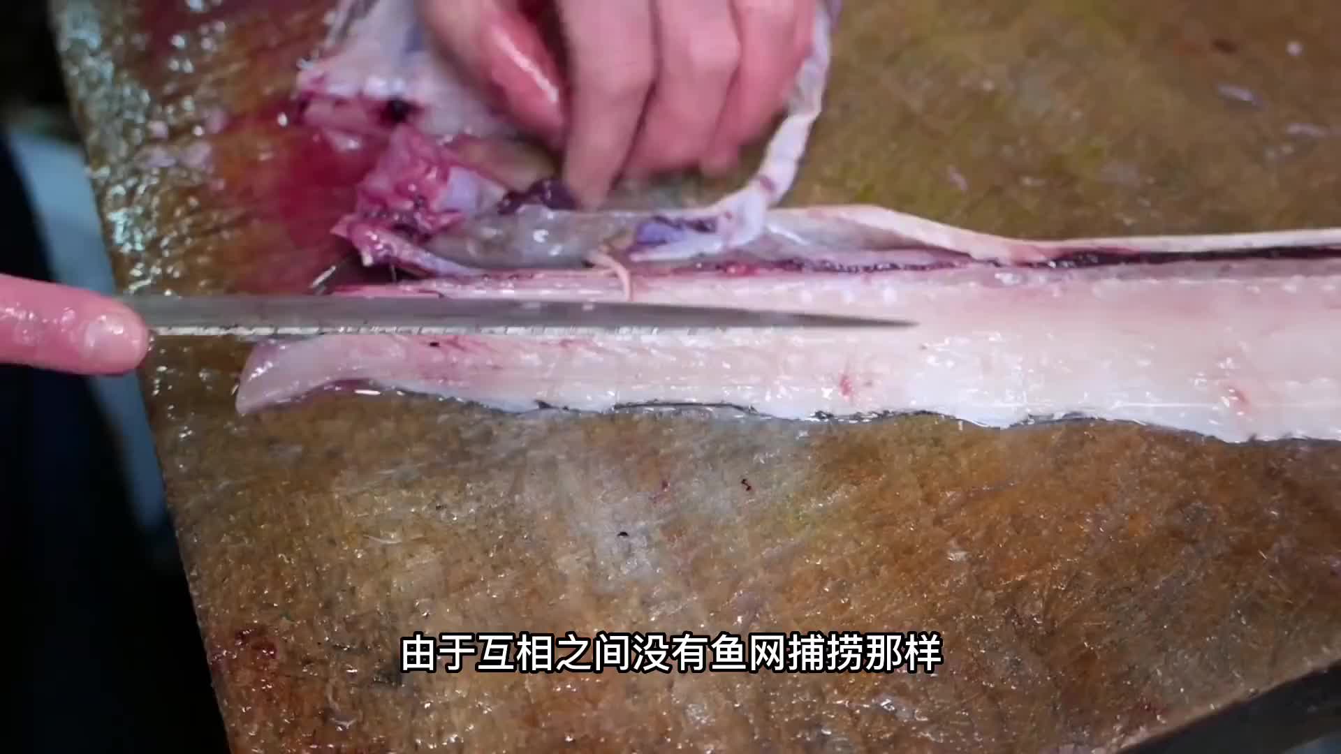 刚从深海里钓上来的带鱼，做成刺身真的特别好吃。