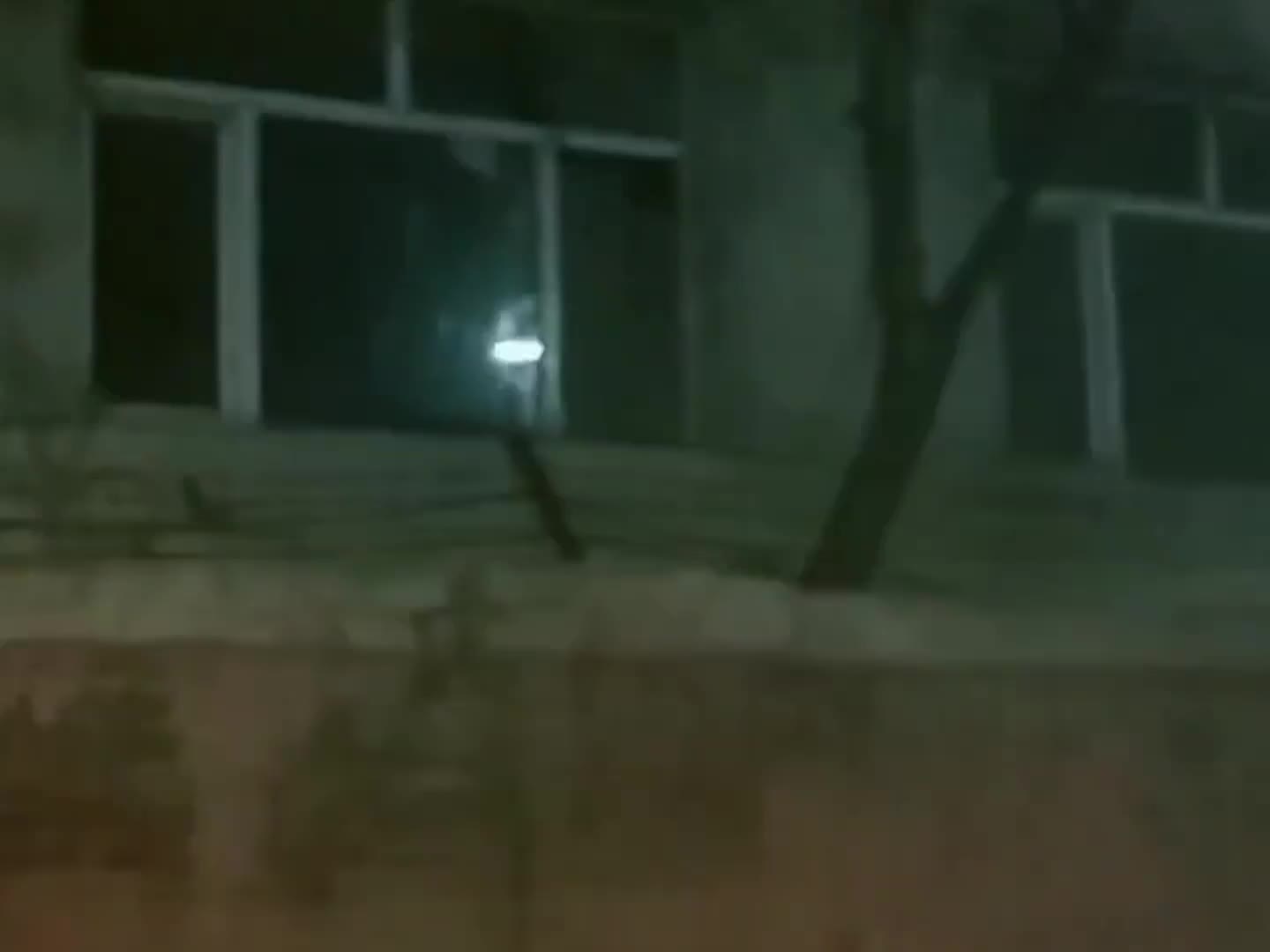 你们还记得哈喽小金毛的故事吗？