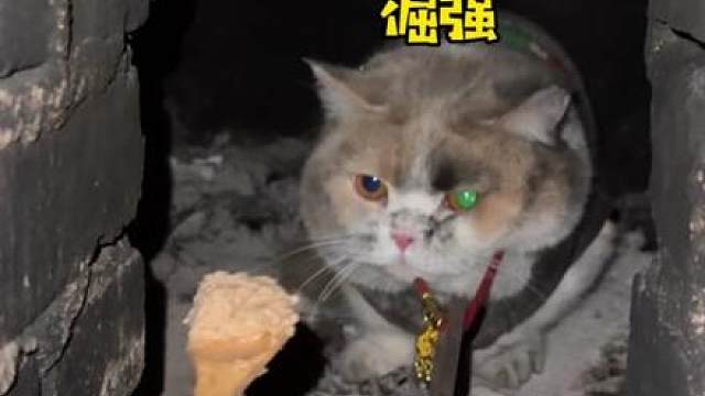 我就知道一回家准没好事！