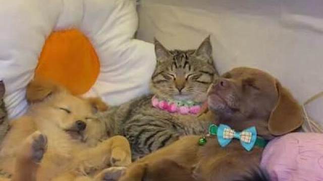 啥也不说了，睡觉