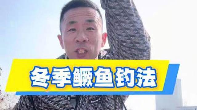 今天教大家如何钓鳜鱼