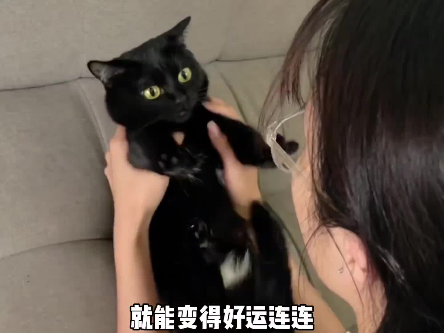 你听说过能给人带来好运的小猫吗？