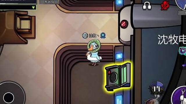 我铁好，布谷鸟胜利