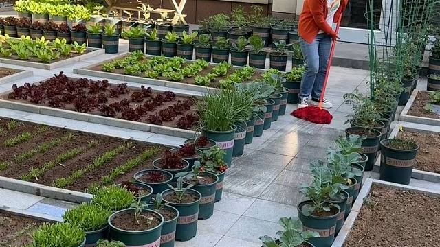 这才是向往的退休生活