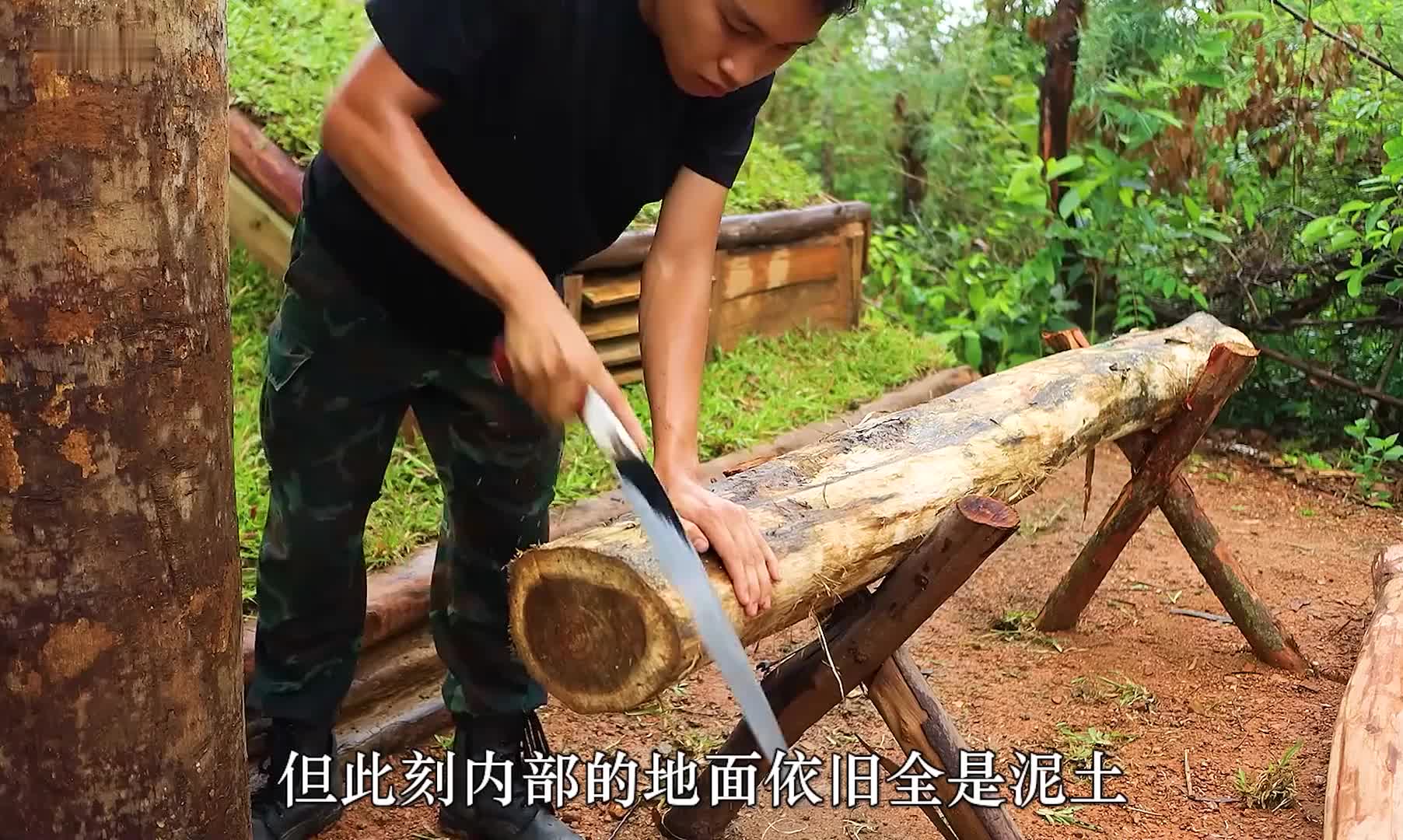 阿毛上次用藤条搭建的树屋被一场大雨破坏 (3)