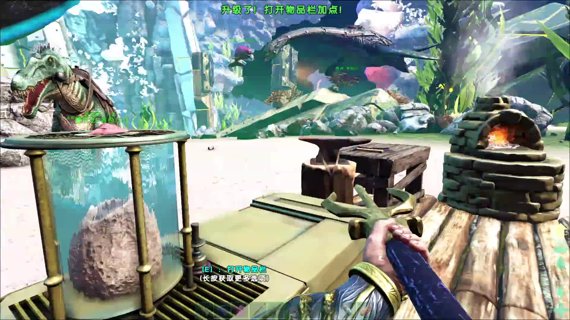 2月13日，，海王归来片段10