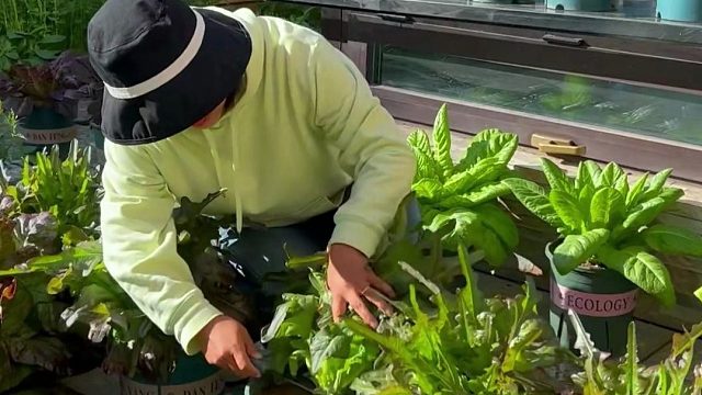 人生百味，平平淡淡才是真！！！