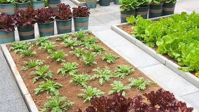 人最好的生活环境一定要亲近自然