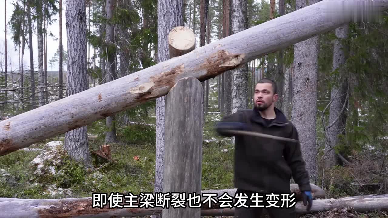 野建造 从零开始，马修带着狗宝在丛林之中搭建了一个木屋 (2)