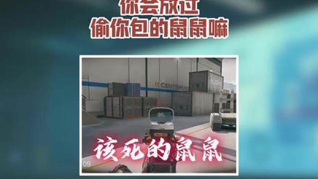 你会放过偷你包的鼠鼠嘛？