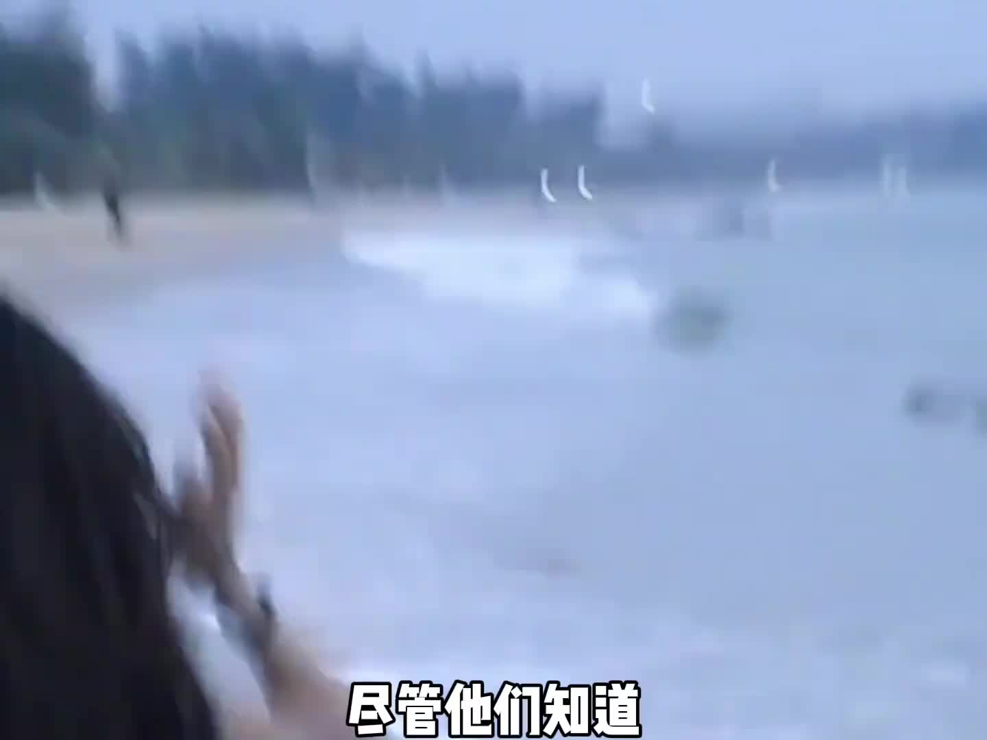 心灵若逢爱意，生命便会肆意绽放