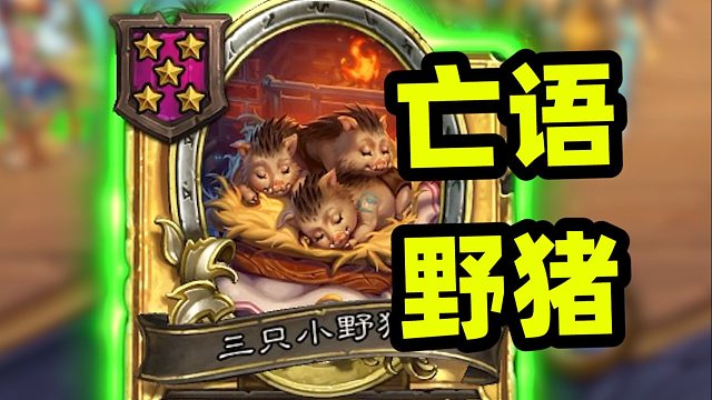 三只小野猪回归！十万身材超级野猪人！