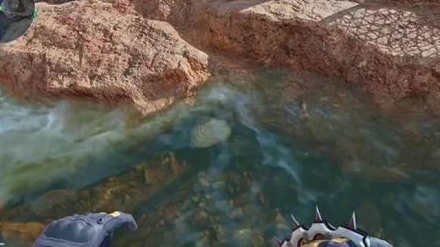 情人节老黑给大家送礼物了