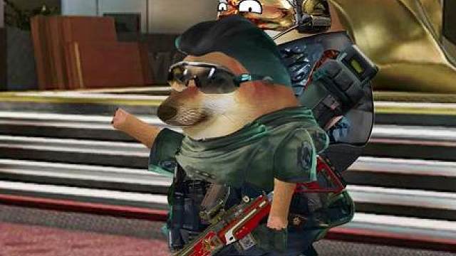 哈基蜂：我会带每一个朋友回家的