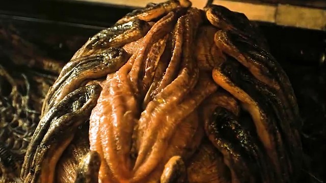 你看到这怪物第一眼的时候会想什么？