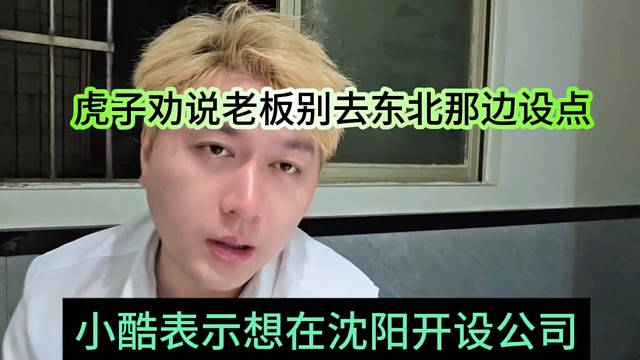 小酷表示想在沈阳开设公司，虎子劝说老板别去东北
