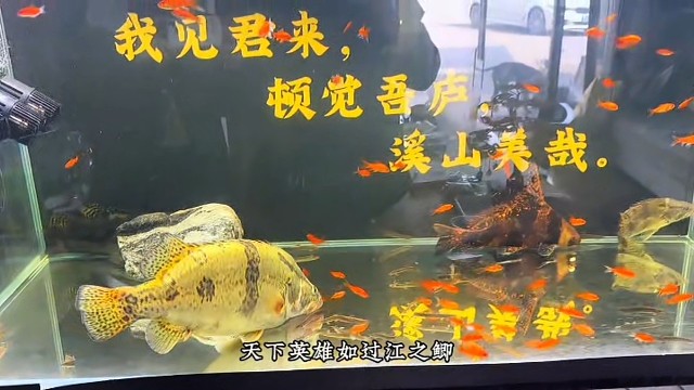 什么都要经历，什么都要过去，等我迈过了这个坎，过往的一切我只字不提！