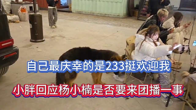 自己最庆幸的是233挺欢迎我，小胖回应杨小楠是否要来团播一事！