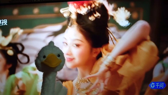 燕云十六声，河南春晚。&我的大鹅。