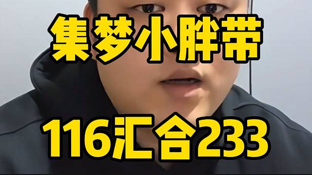 集梦小胖准备带116找233汇合，并说明原因！