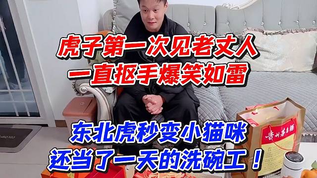 虎子第一次见老丈人一直抠手爆笑如雷！东北虎秒变小猫咪还当了一天的洗碗工