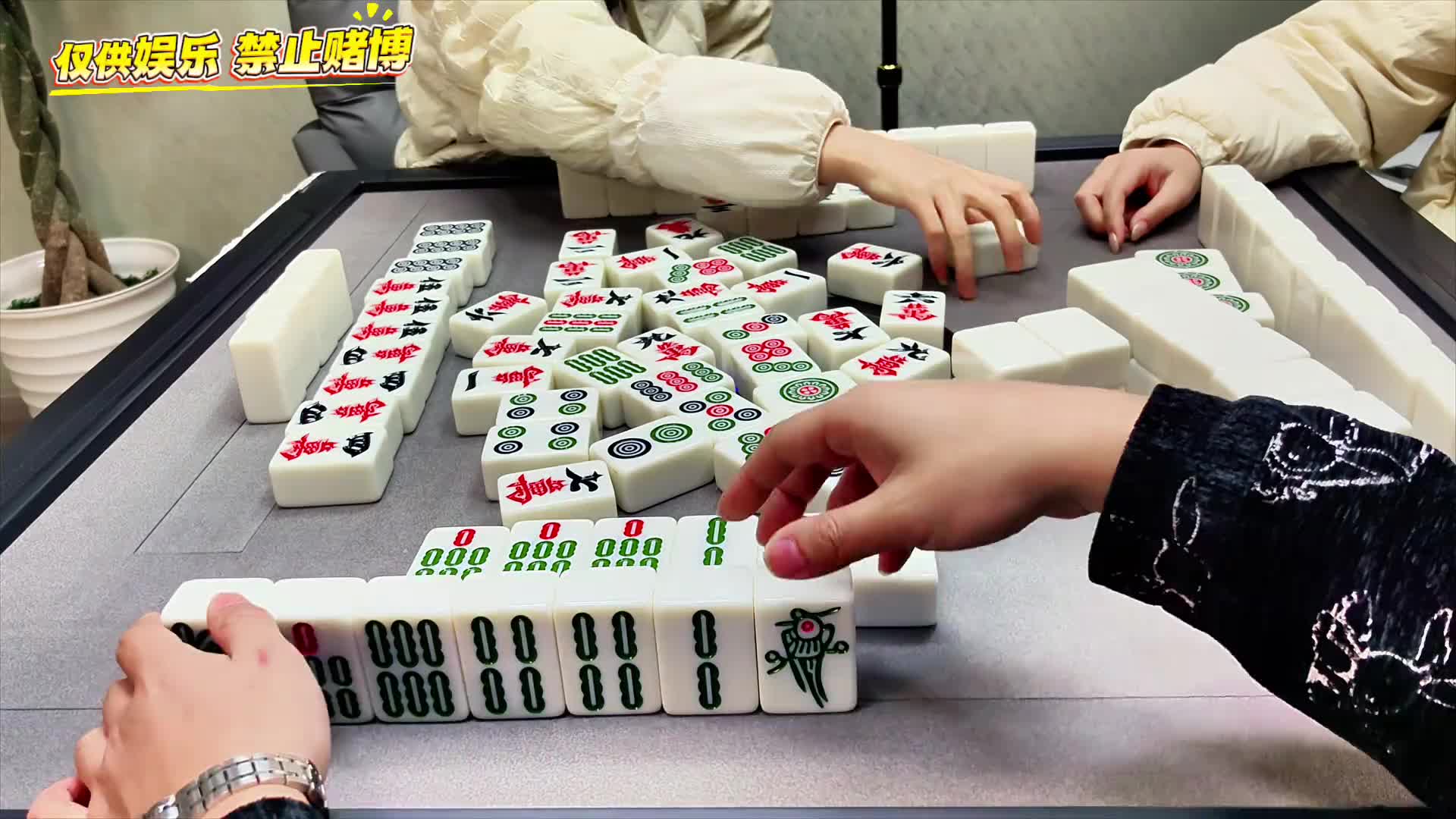 三条你们走不走