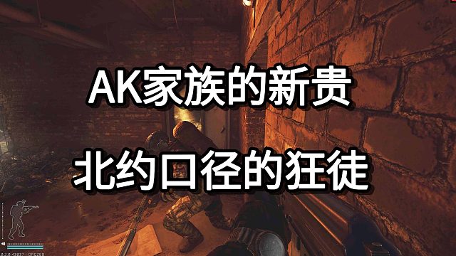 AK家族的新贵 北约口径的狂徒 AK308