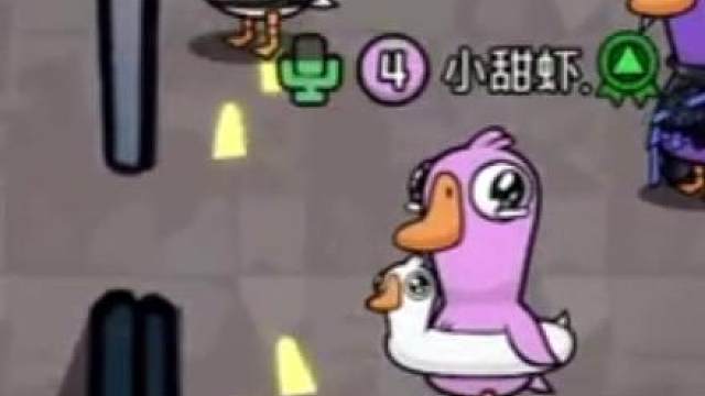 出生在80年代的鸽子