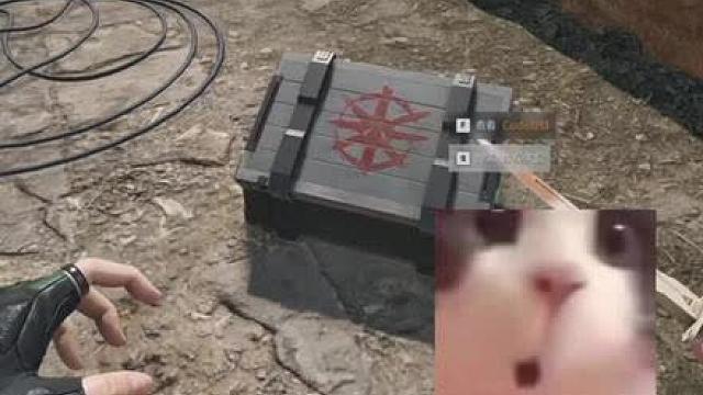 肥！！真的肥！！