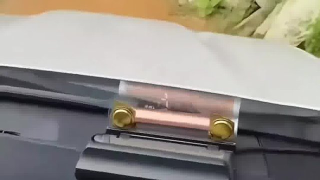 被爱的小狗满眼都是你 你是小狗的全世界