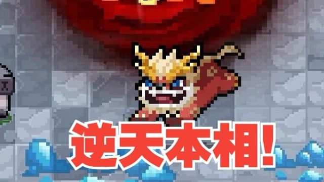 元气骑士：全服炸了七天！宠物来财究竟有何本相！！！