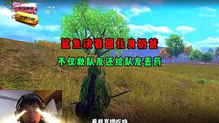 鯊魚最有用的一局，決賽圈化身奶爸救援隊(duì)友奉獻(xiàn)藥品.