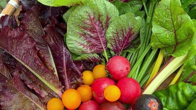 不问世事，只守菜园，三餐四季，安稳心安！